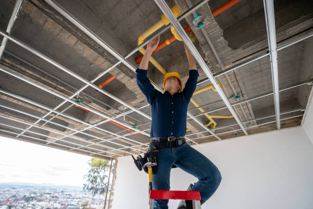 Best Residential Plumbing Services  in Milford, IA